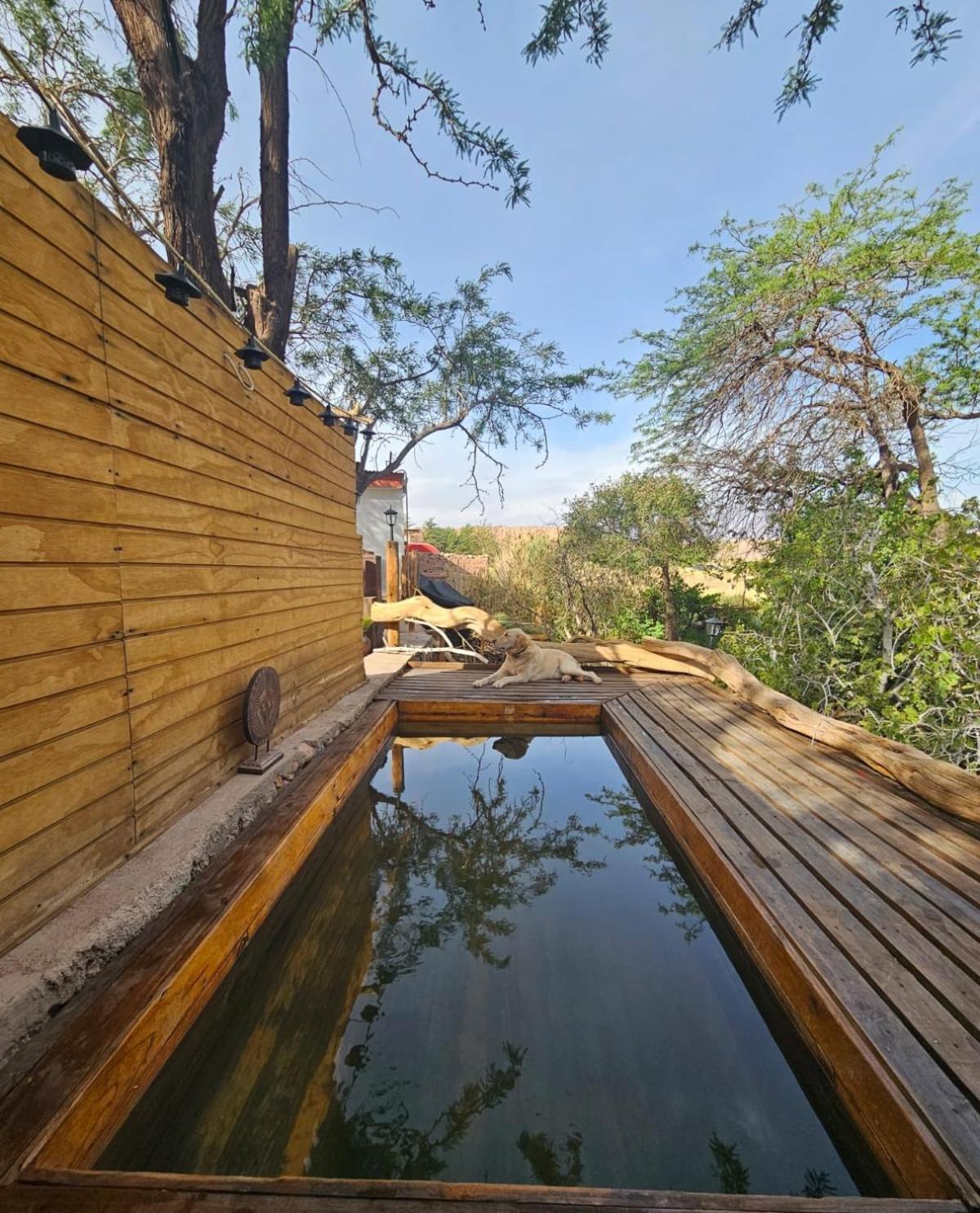 Anka Lodge Quitor San Pedro de Atacama Eksteriør billede