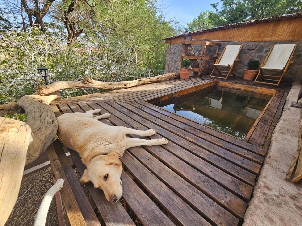 Anka Lodge Quitor San Pedro de Atacama Eksteriør billede