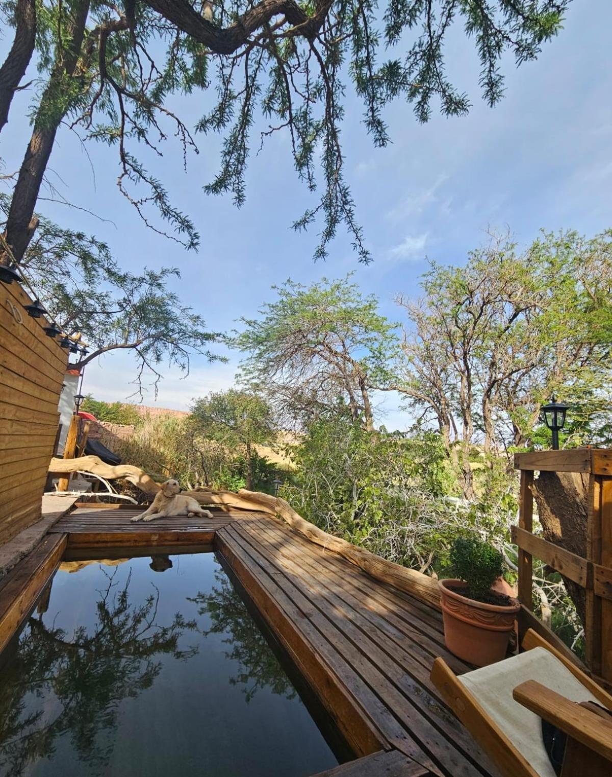 Anka Lodge Quitor San Pedro de Atacama Eksteriør billede