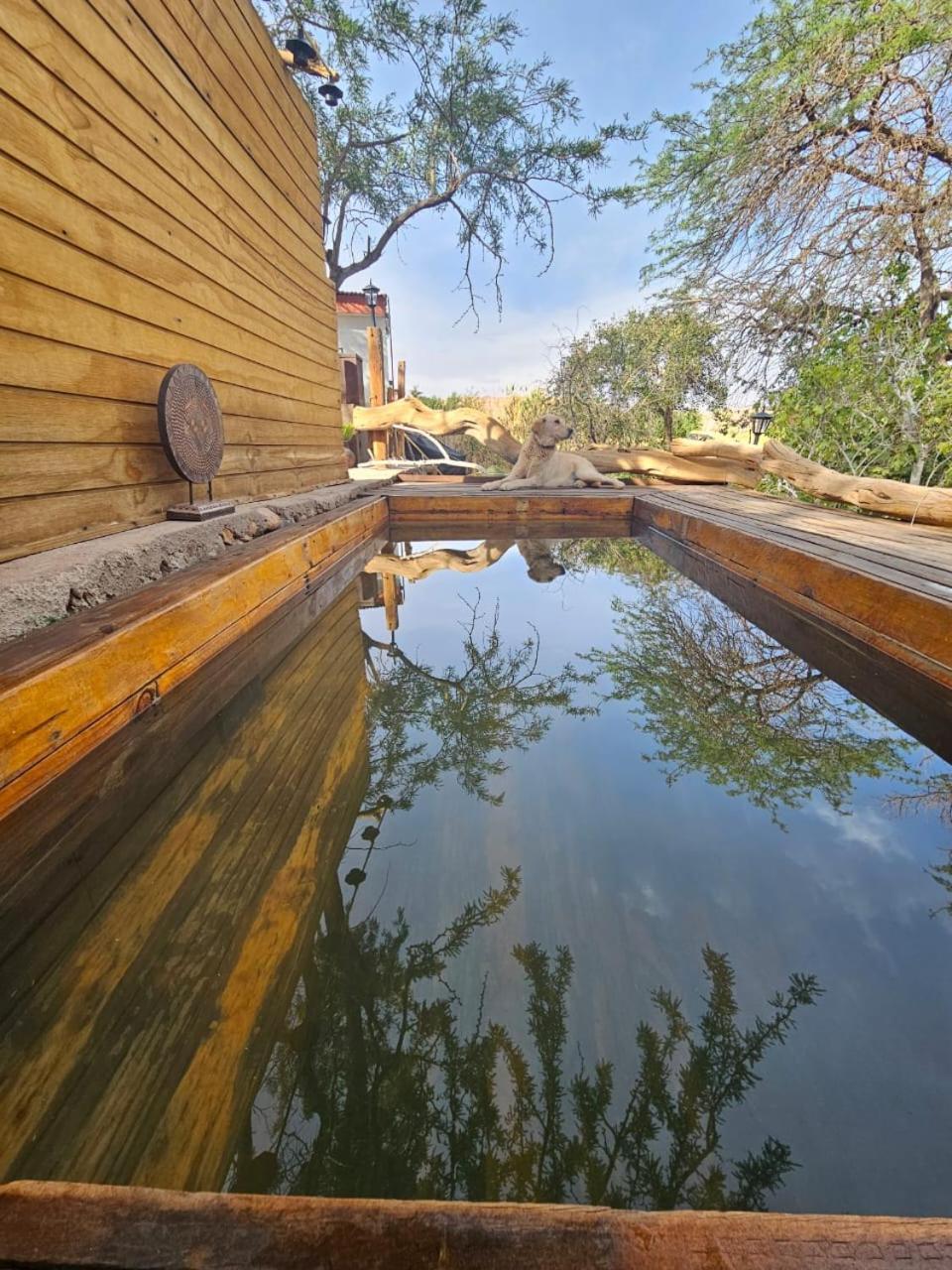 Anka Lodge Quitor San Pedro de Atacama Eksteriør billede