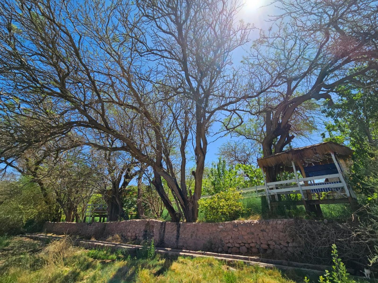 Anka Lodge Quitor San Pedro de Atacama Eksteriør billede